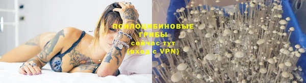ГАЛЛЮЦИНОГЕННЫЕ ГРИБЫ Алексин