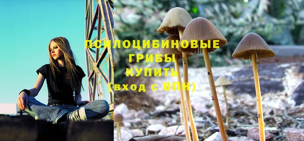 скорость Алзамай