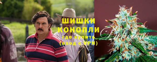 ГАЛЛЮЦИНОГЕННЫЕ ГРИБЫ Алексин