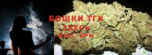 ГАЛЛЮЦИНОГЕННЫЕ ГРИБЫ Алексин