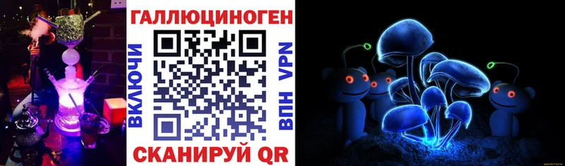 что такое   Нижний Тагил  Галлюциногенные грибы Cubensis 